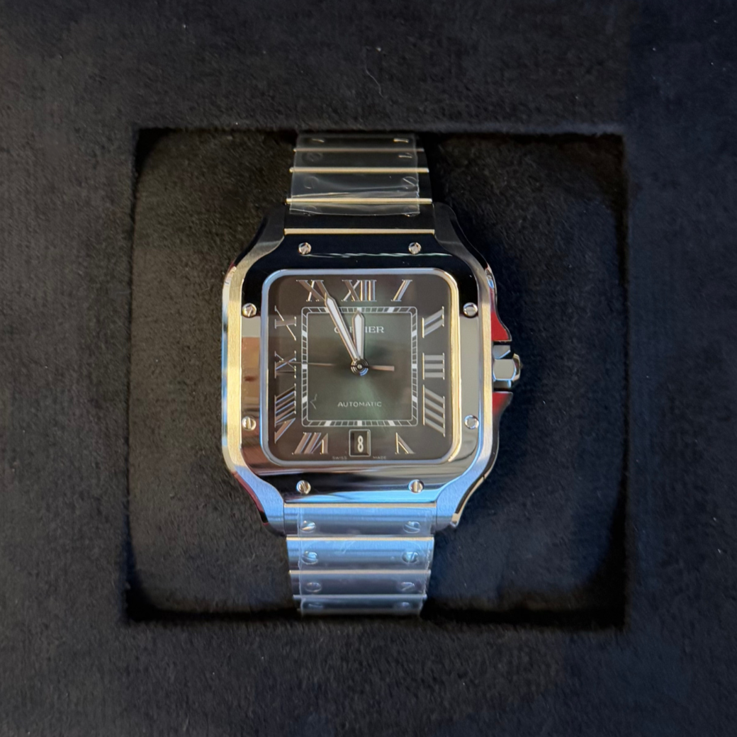 Santos Large Green Dial, Stainless Steel, WSSA0062