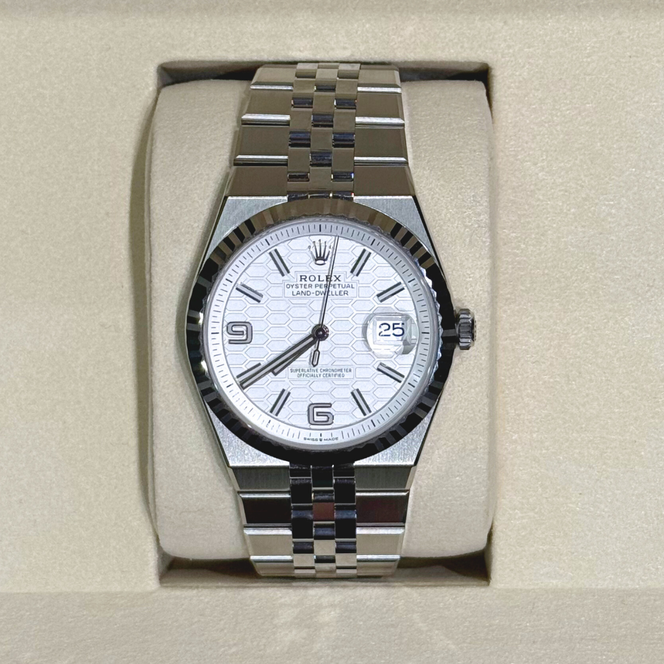 Land-Dweller 40 Intense White Oyster, Oystersteel and White gold, 127334