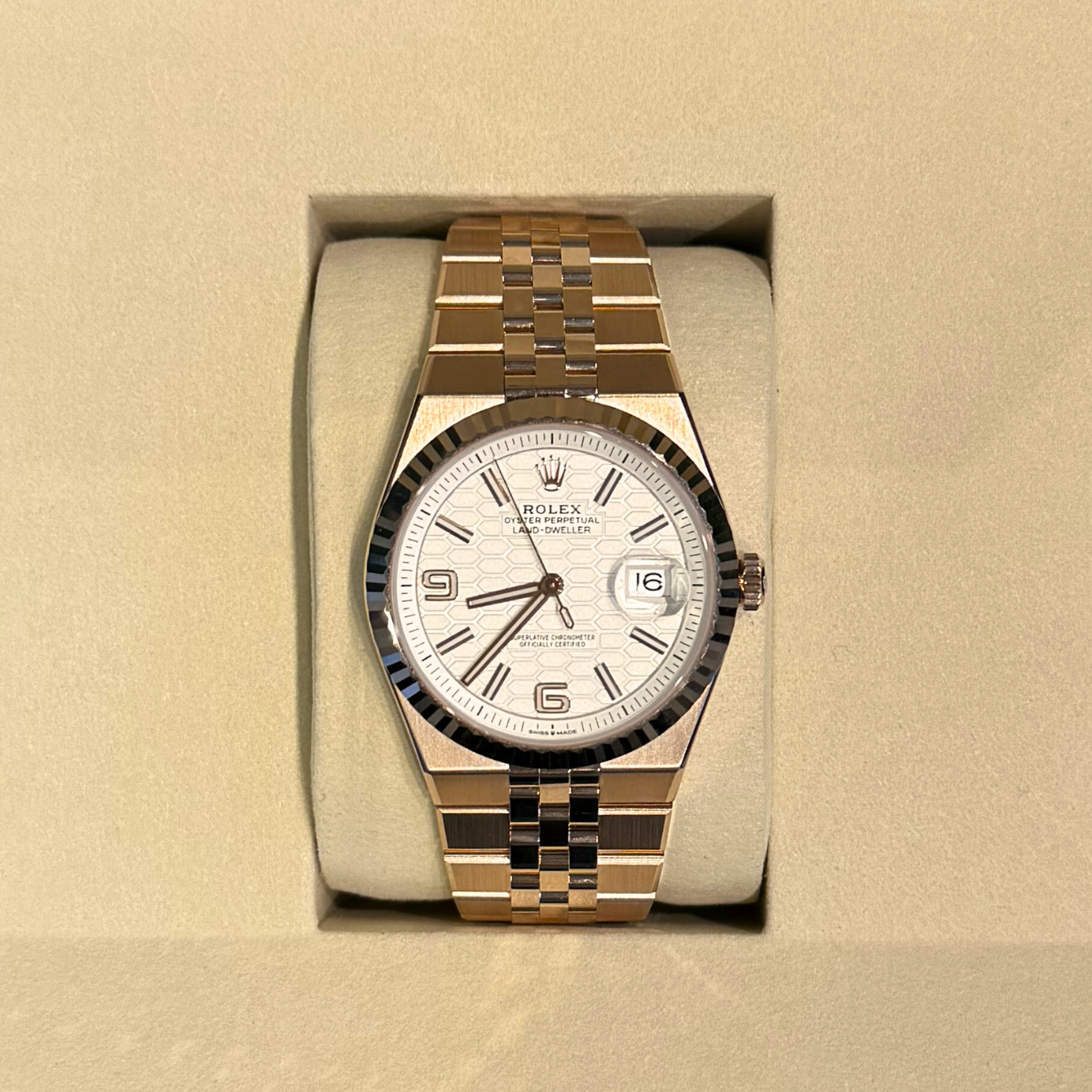 Land-Dweller 40 Intense White Oyster, Everose gold, 127335