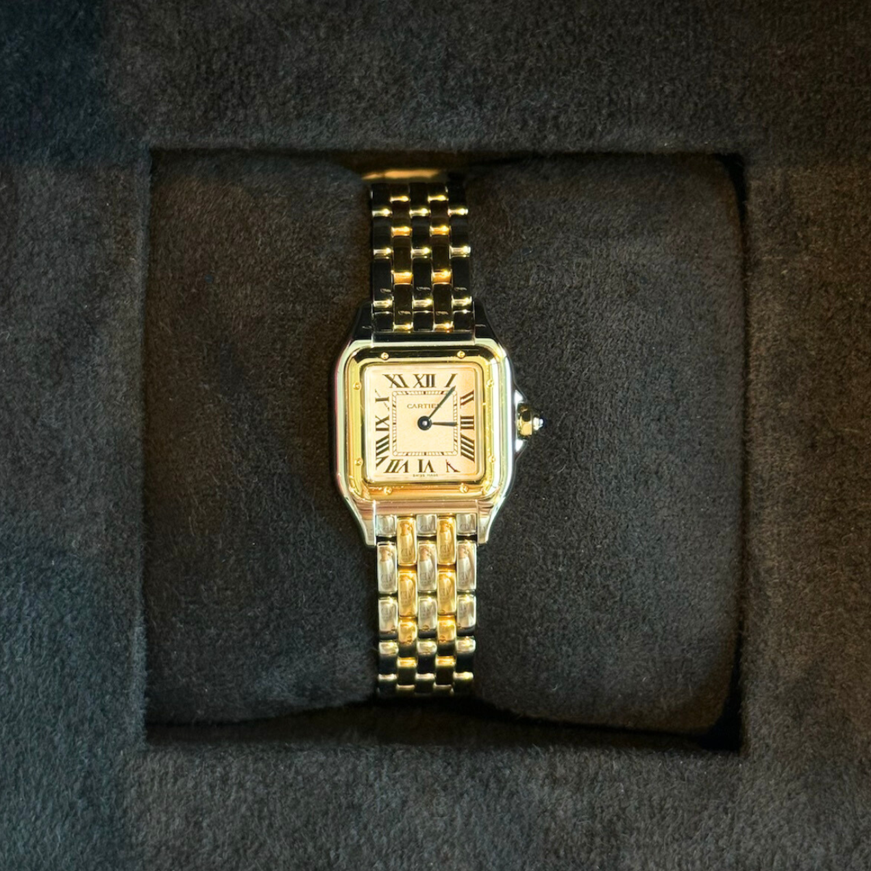 Panthère Small Yellow Gold, Gold and Stainless Steel, W2PN0013