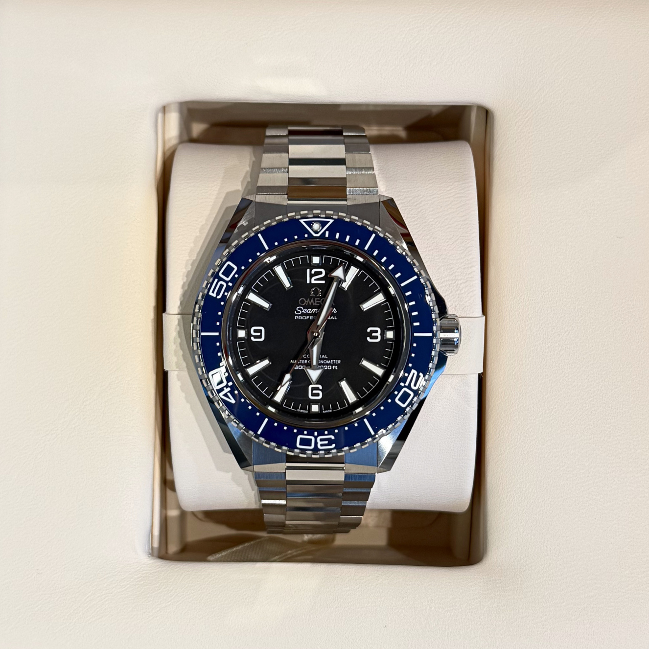 Seamaster Planet Ocean 600M 42MM, Steel on steel, 217.30.42.21.01.002